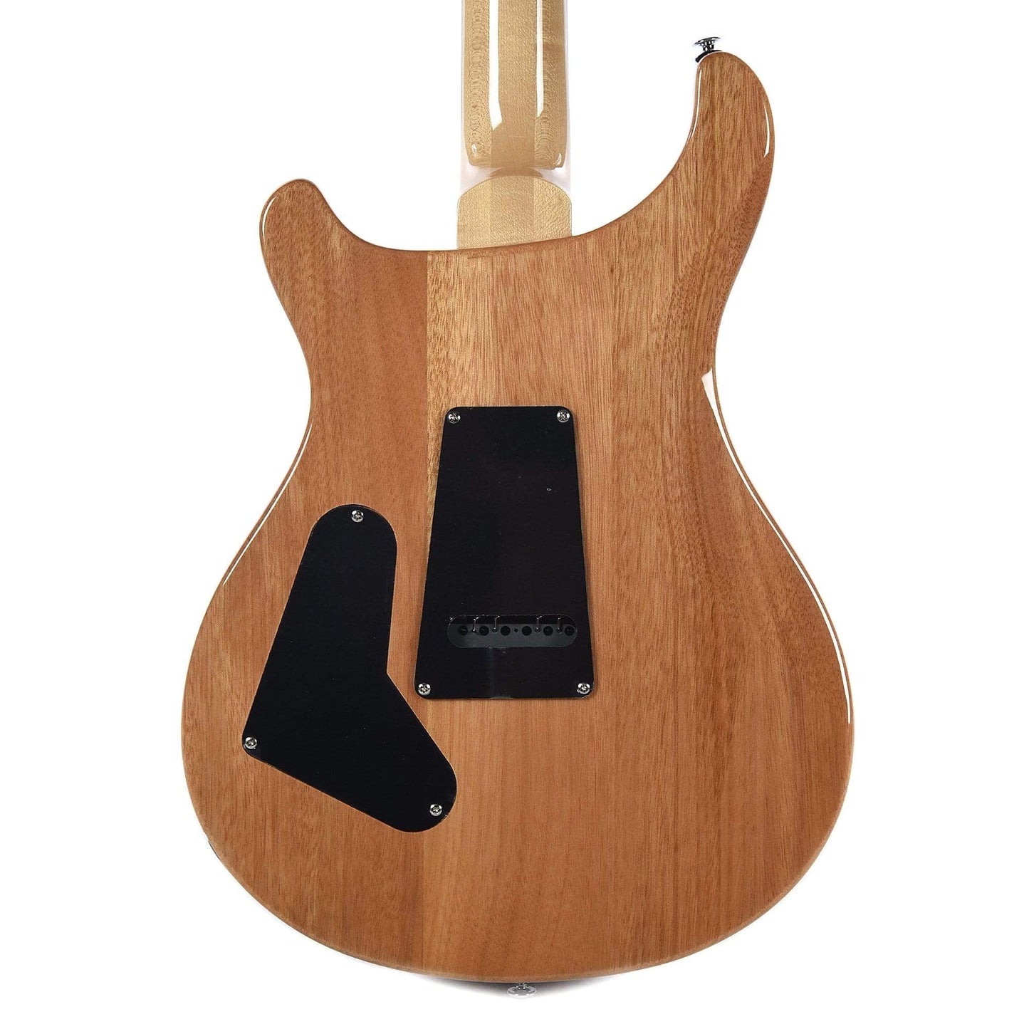 PRS SE Custom 24 Trampas Green Electric Guitars / Solid Body