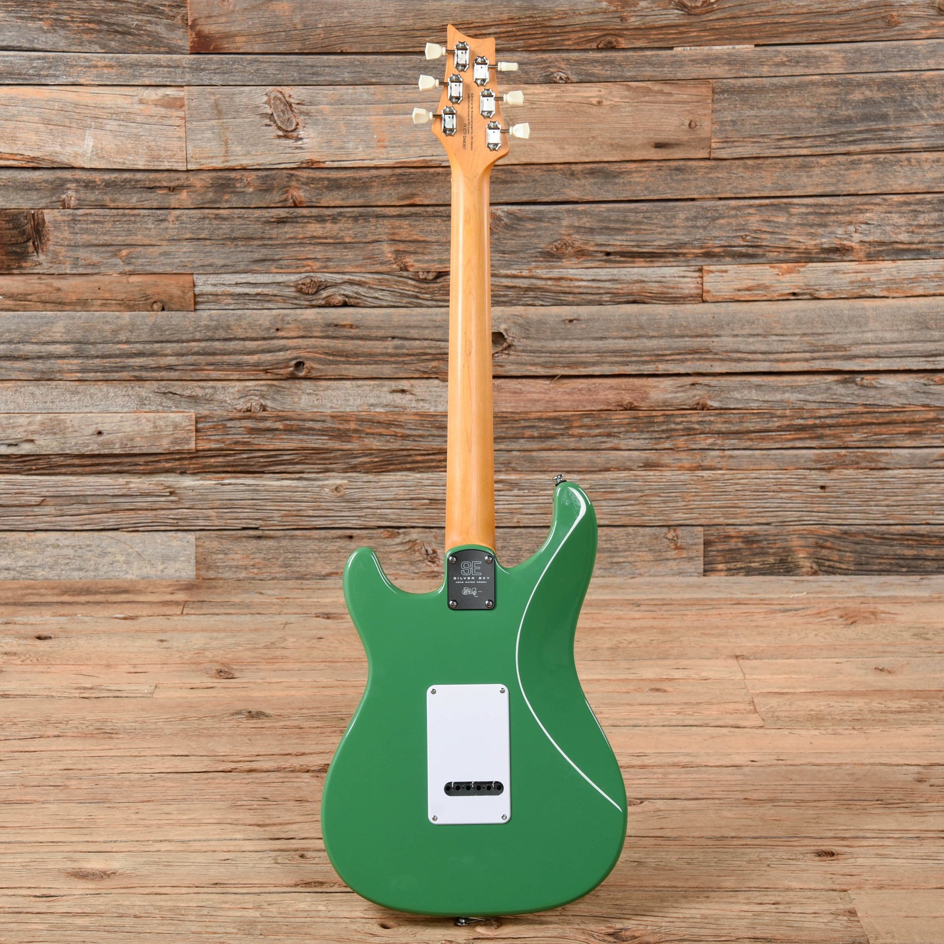 PRS SE Silver Sky Ever Green 2021 Electric Guitars / Solid Body