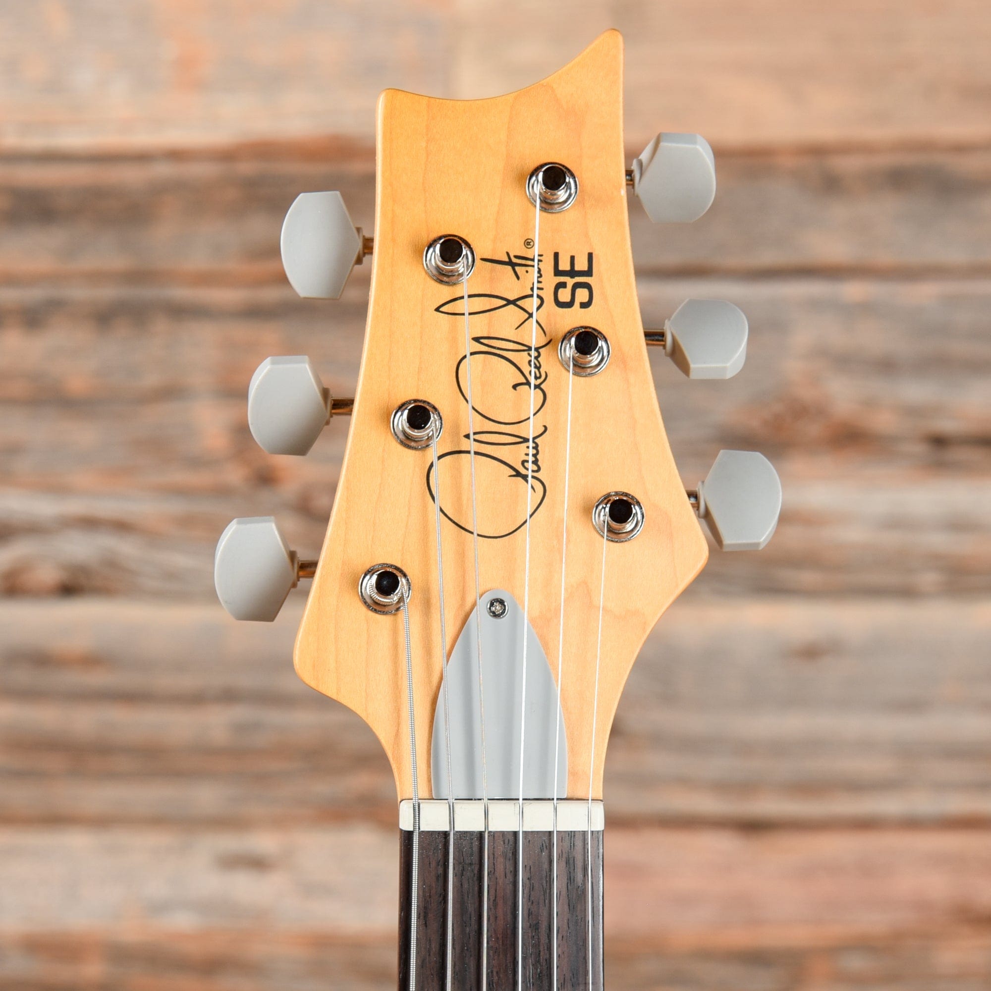 PRS SE Silver Sky Ever Green Electric Guitars / Solid Body