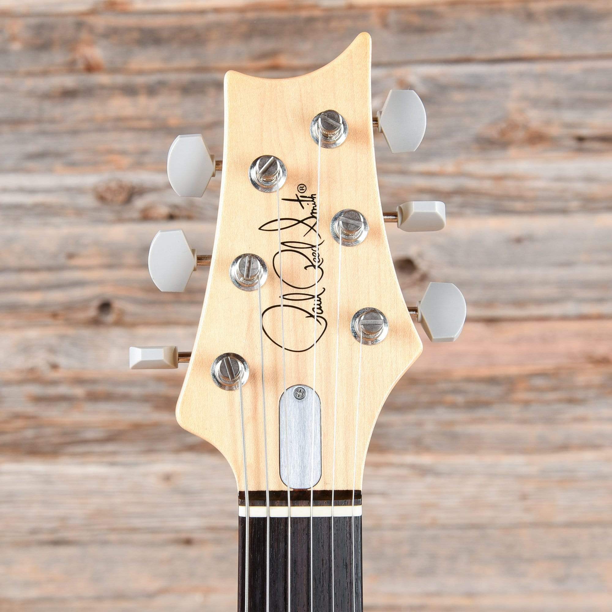 PRS Silver Sky John Mayer Model Frost 2018 Electric Guitars / Solid Body