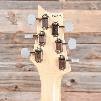 PRS Silver Sky John Mayer Model Frost 2018 Electric Guitars / Solid Body
