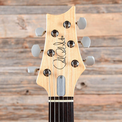 PRS Silver Sky John Mayer Model Golden Mesa 2019 Electric Guitars / Solid Body