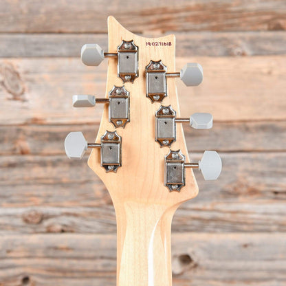 PRS Silver Sky John Mayer Model Horizon 2019 Electric Guitars / Solid Body