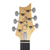 PRS Silver Sky John Mayer Model Tungsten Electric Guitars / Solid Body