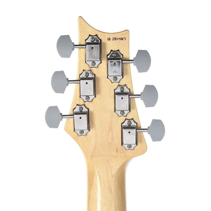 PRS Silver Sky John Mayer Model Tungsten Electric Guitars / Solid Body