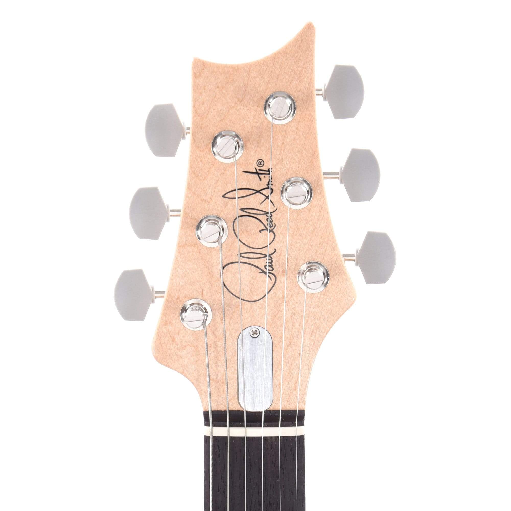 PRS Silver Sky John Mayer Polar Blue Electric Guitars / Solid Body