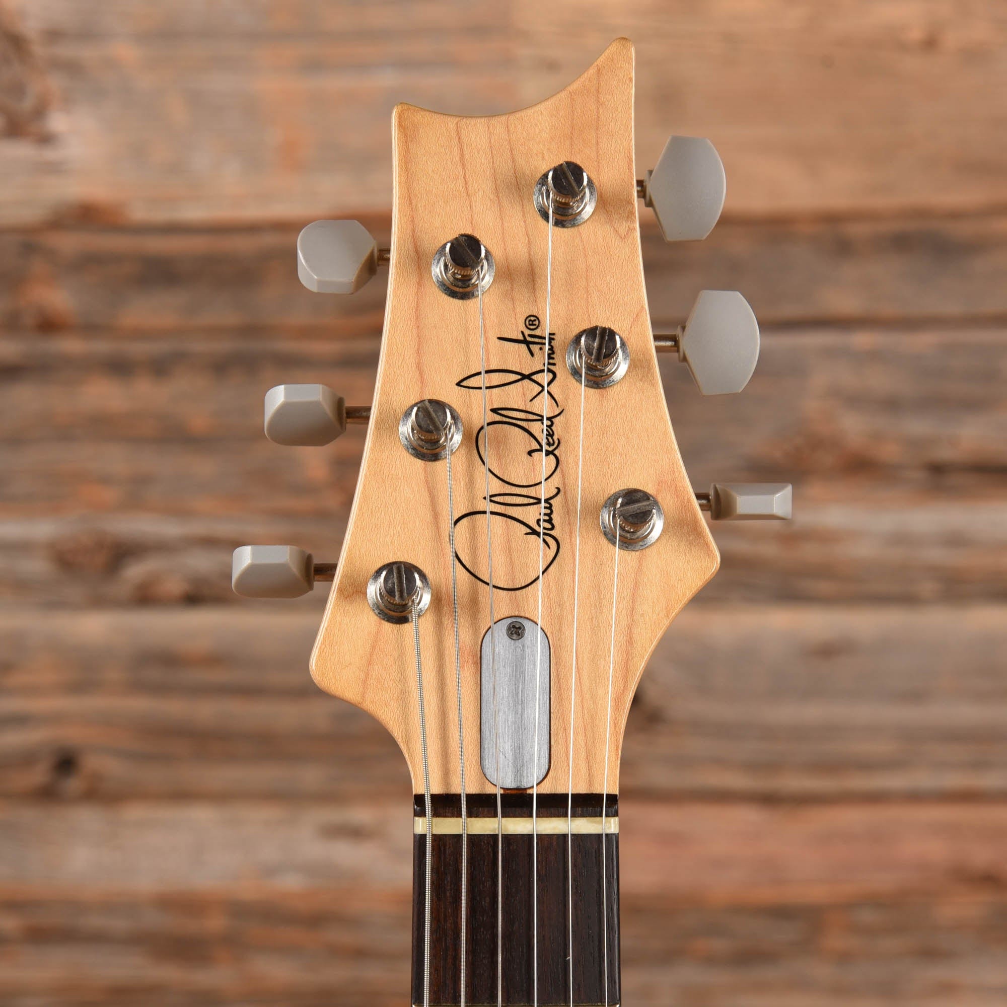 PRS Silver Sky John Mayer Signature Frost 2018 Electric Guitars / Solid Body