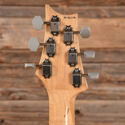 PRS Silver Sky John Mayer Signature Frost 2018 Electric Guitars / Solid Body