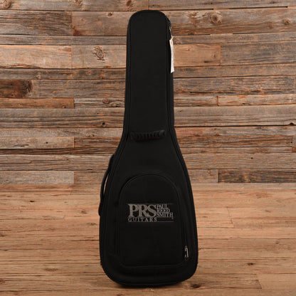 PRS Silver Sky John Mayer Signature Frost 2018 Electric Guitars / Solid Body