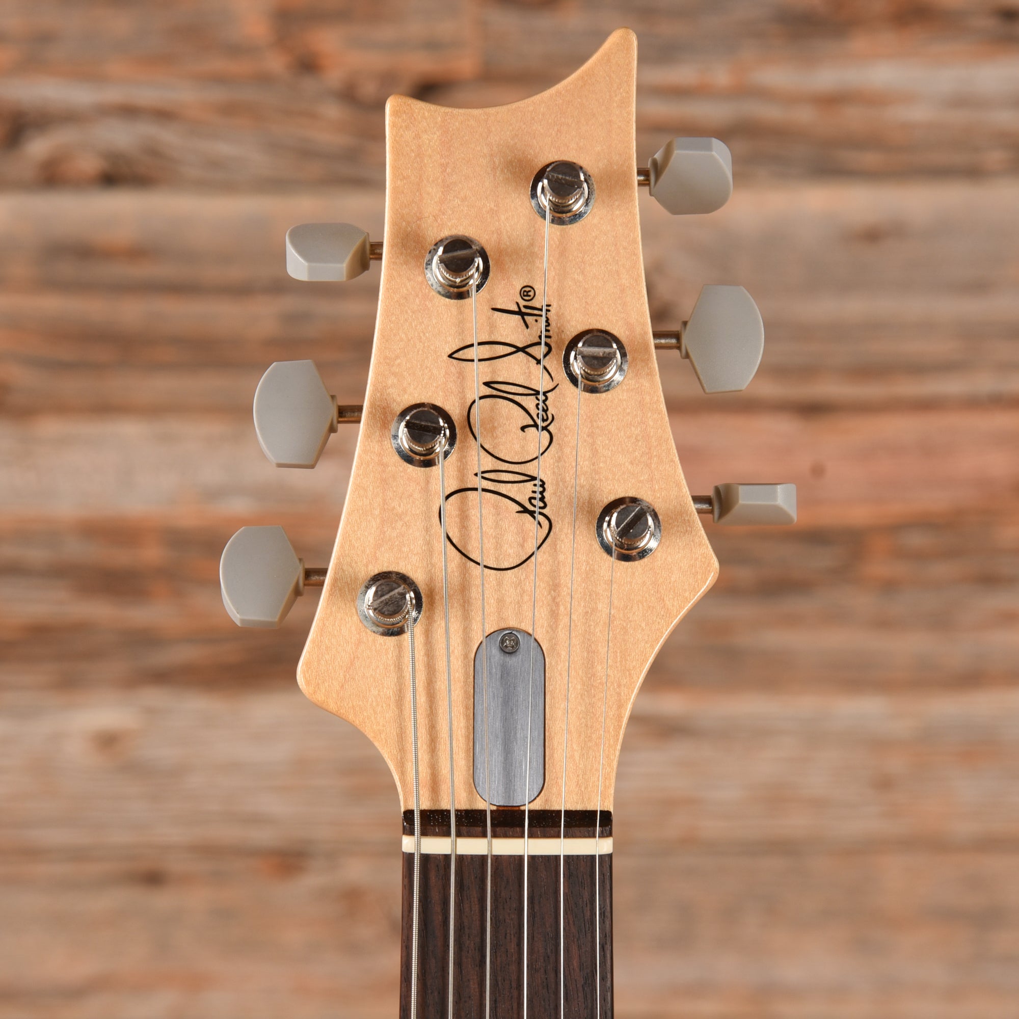 PRS Silver Sky John Mayer Signature Horizon 2018 Electric Guitars / Solid Body