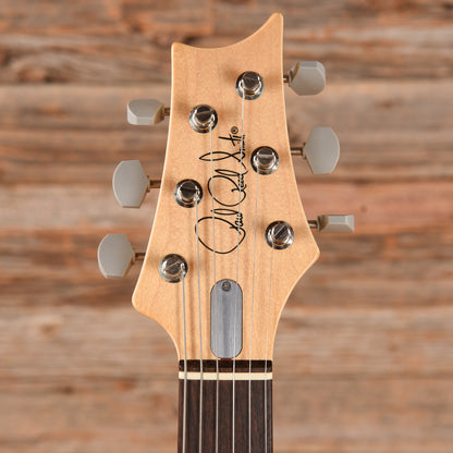 PRS Silver Sky John Mayer Signature Horizon 2018 Electric Guitars / Solid Body