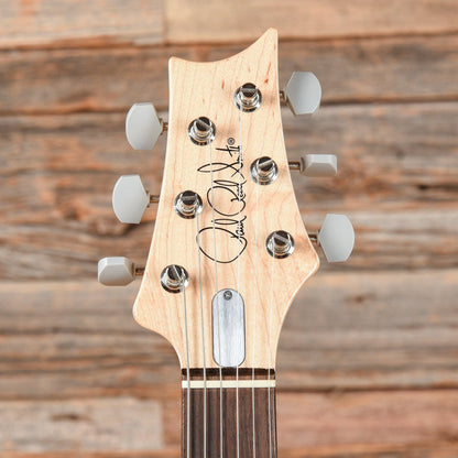 PRS Silver Sky John Mayer Signature Tungsten 2021 Electric Guitars / Solid Body