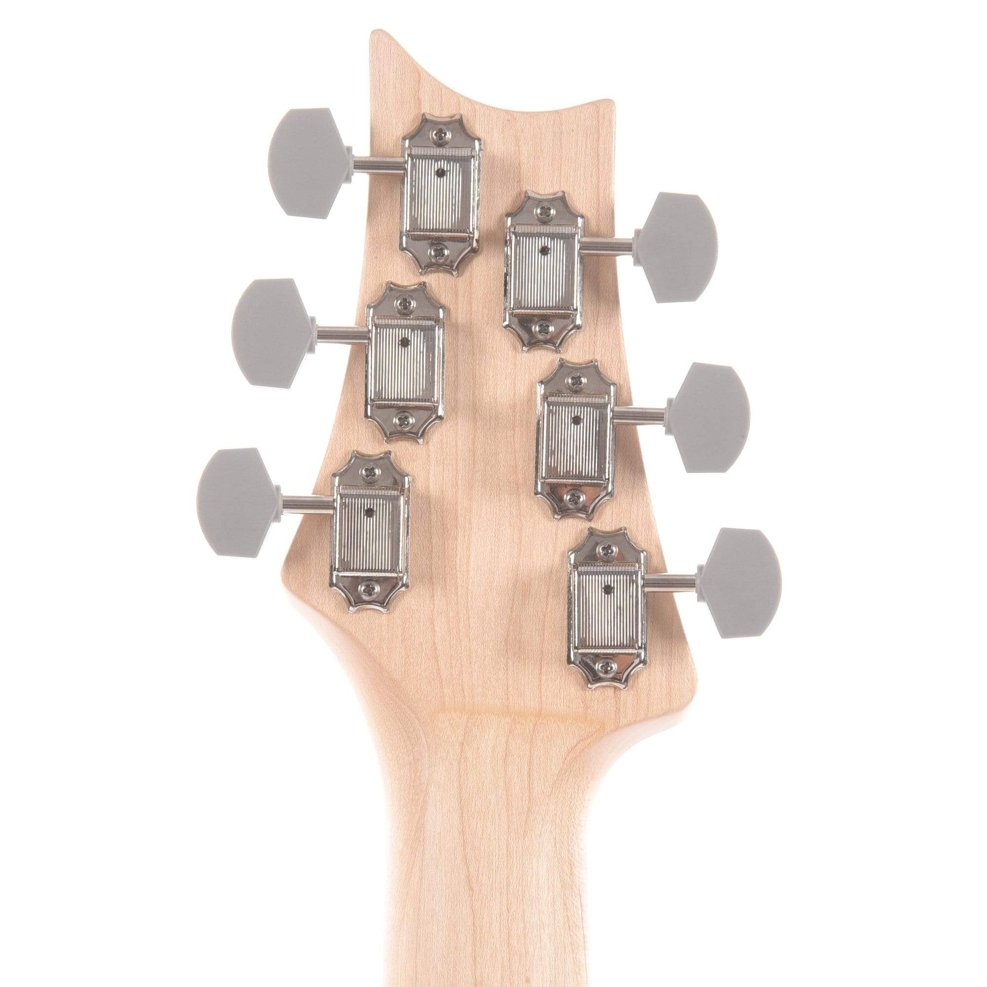 PRS Silver Sky Maple John Mayer Frost Electric Guitars / Solid Body