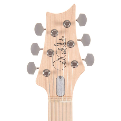 PRS Silver Sky Maple John Mayer Frost Electric Guitars / Solid Body