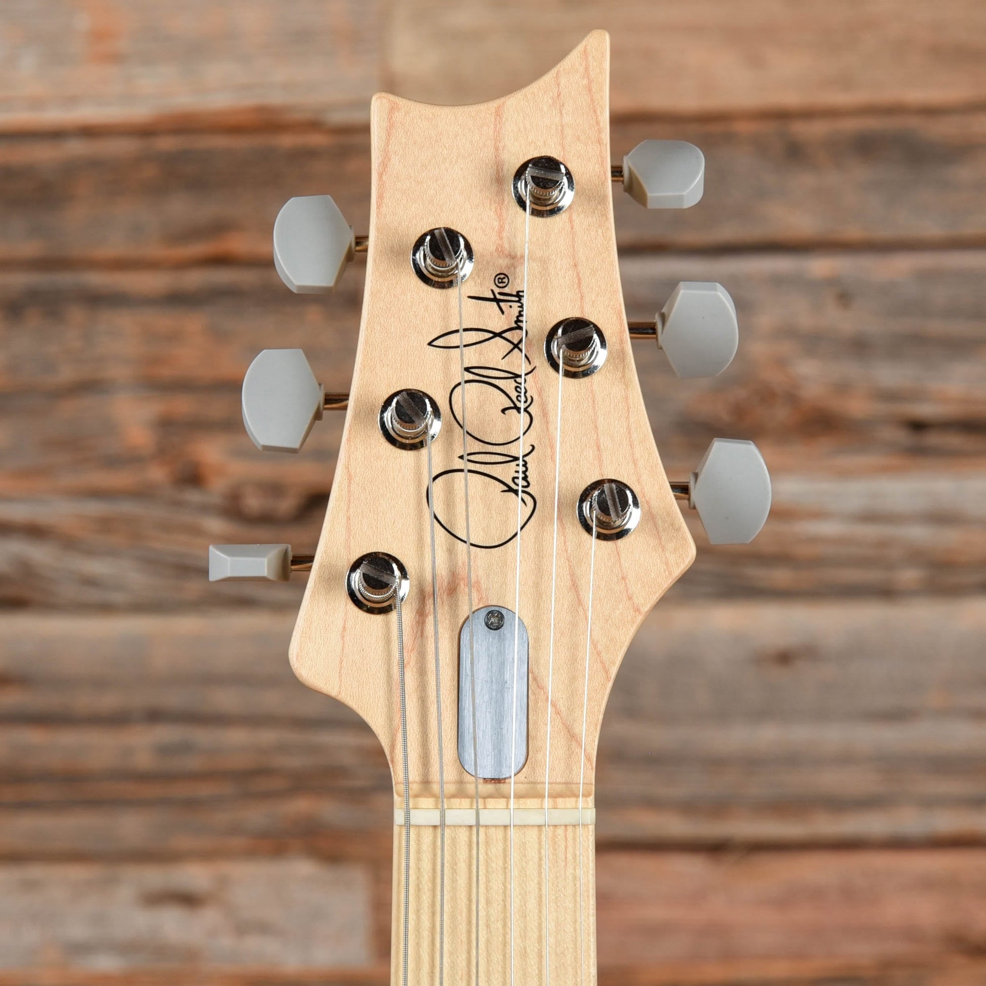 PRS Silver Sky Maple John Mayer Polar Blue Electric Guitars / Solid Body