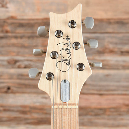 PRS Silver Sky Maple John Mayer Signature Polar Blue 2020 Electric Guitars / Solid Body
