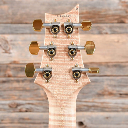 PRS Wood Library Custom 22  2017 Electric Guitars / Solid Body