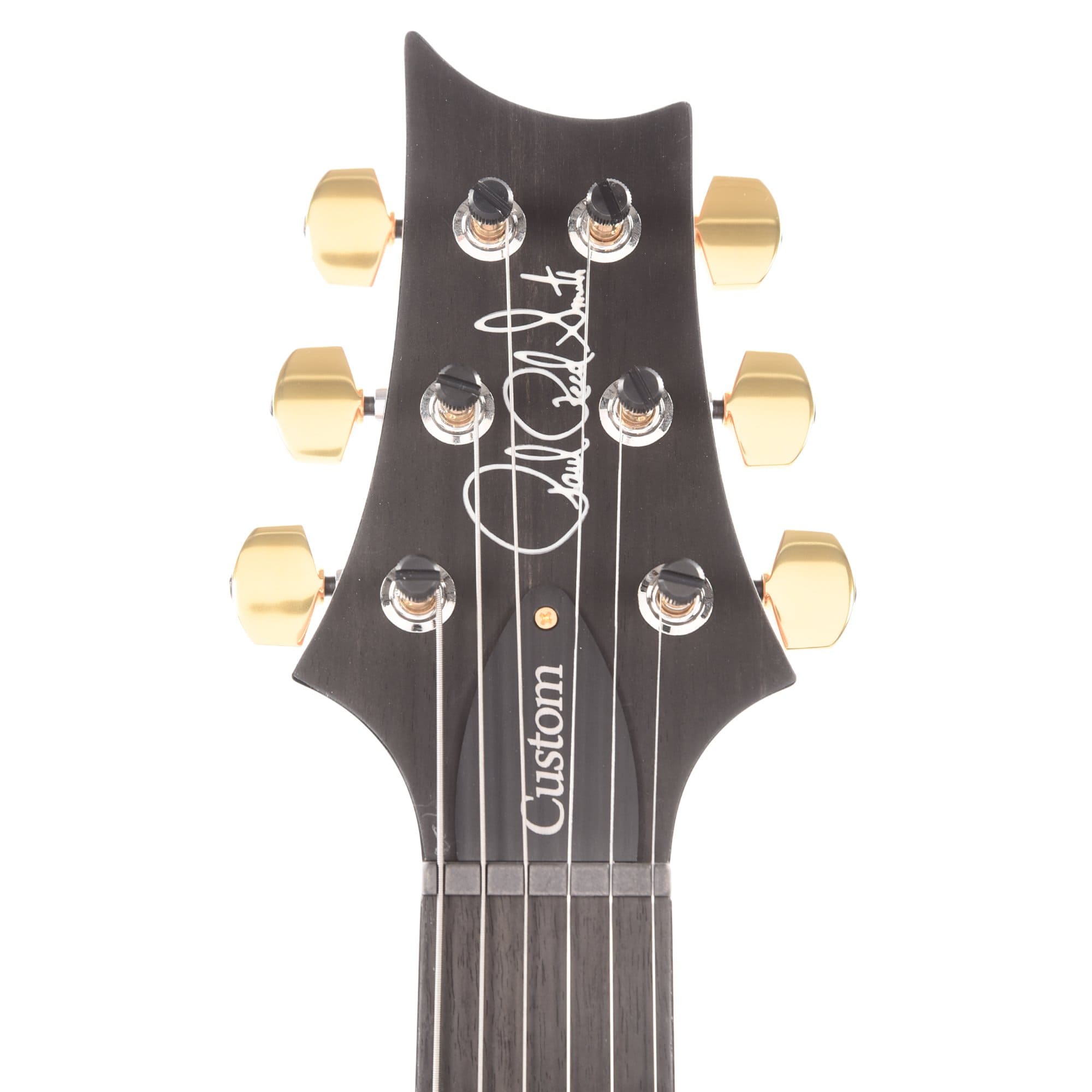 PRS Wood Library Custom 24 Artist Top Flame Jade Natural Back w/Figured Mahogany Neck, Ebony Fingerboard, & Pattern Thin Neck Electric Guitars / Solid Body