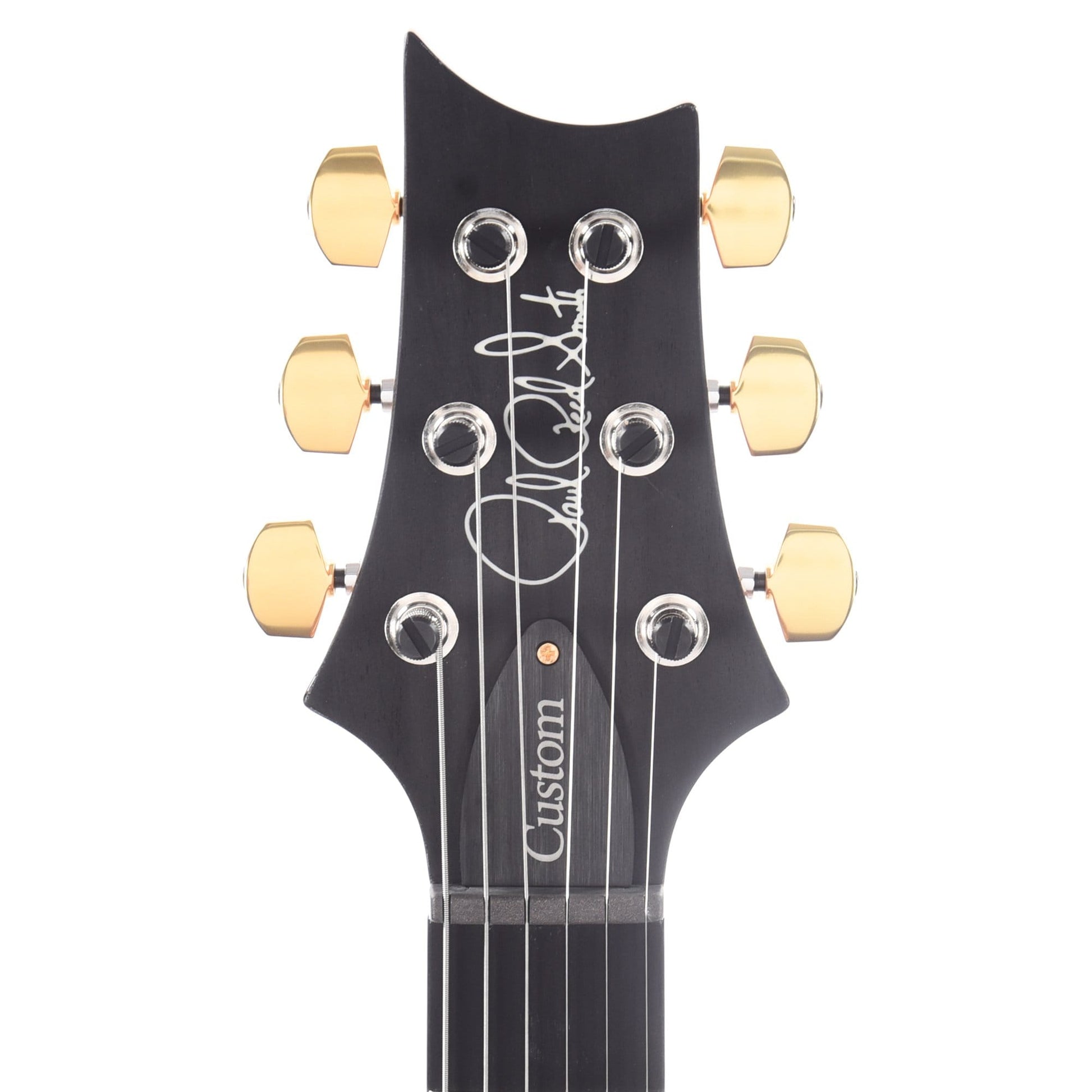 PRS Wood Library Custom 24 Artist Top Flame Violet w/Figured Mahogany Neck, Ebony Fingerboard, & Pattern Thin Neck Electric Guitars / Solid Body
