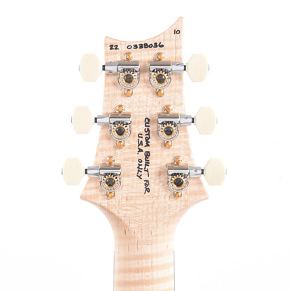 PRS Wood Library DGT 10-Top Flame Aquableux w/Brazilian Rosewood Fingerboard & Figured Maple Neck Electric Guitars / Solid Body