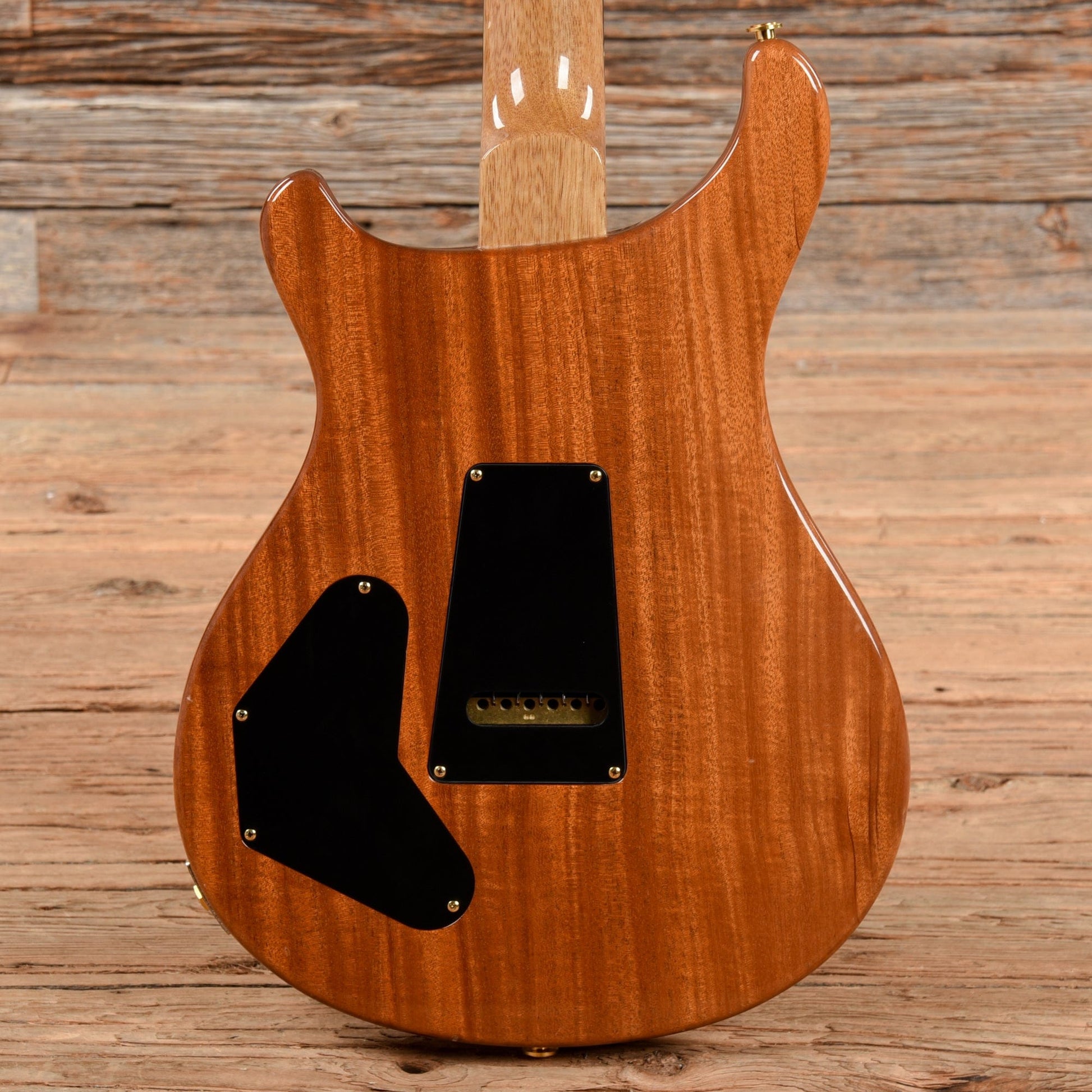 PRS Wood Library DGT w/Brazilian Rosewood Fretboard Amethyst 2013 Electric Guitars / Solid Body