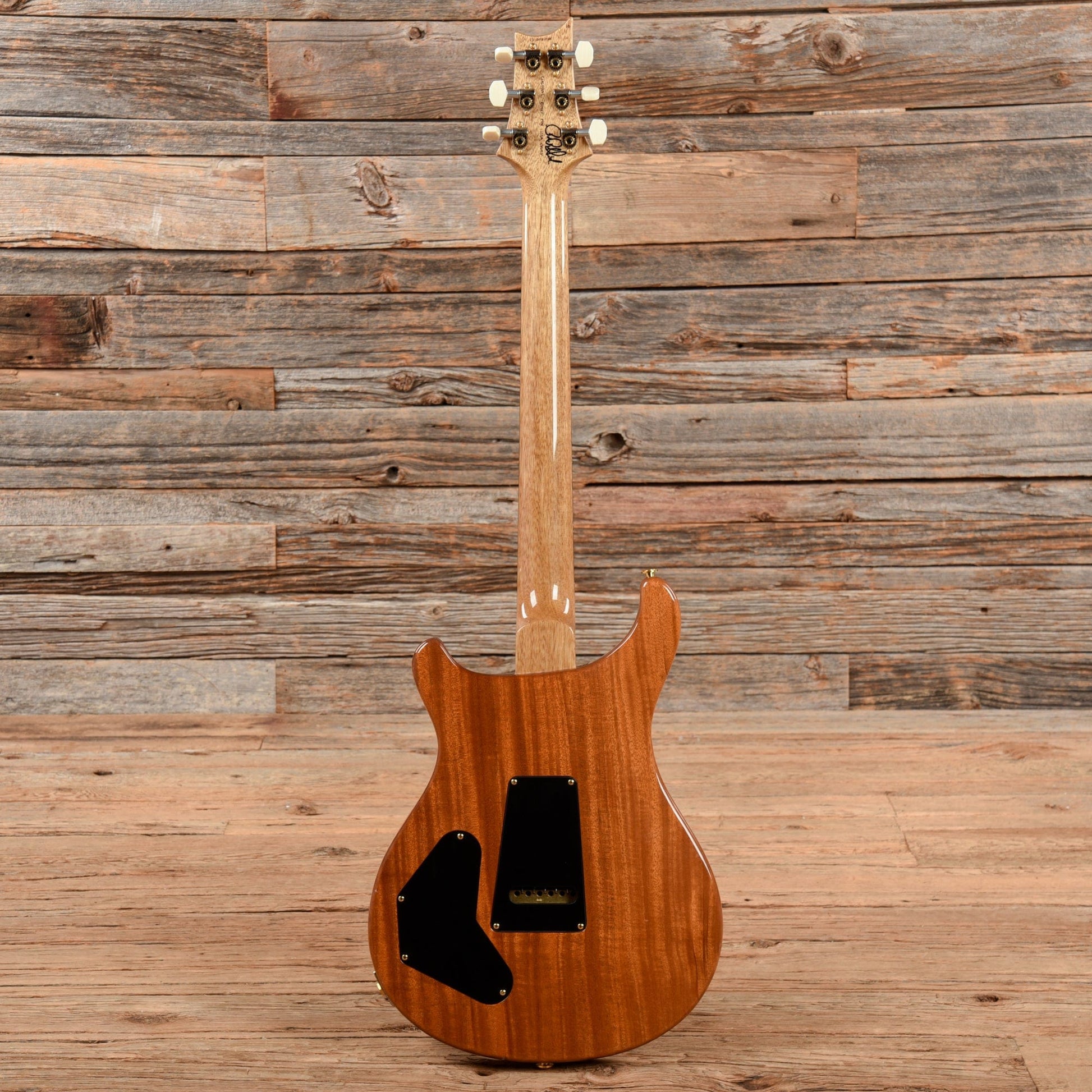 PRS Wood Library DGT w/Brazilian Rosewood Fretboard Amethyst 2013 Electric Guitars / Solid Body