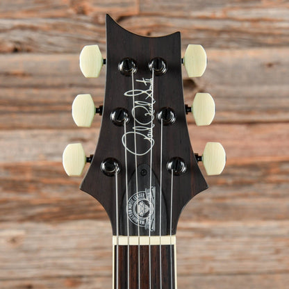 PRS Wood Library McCarty 594 w/Brazilian Rosewood Fretboard Absinthe 2018 Electric Guitars / Solid Body