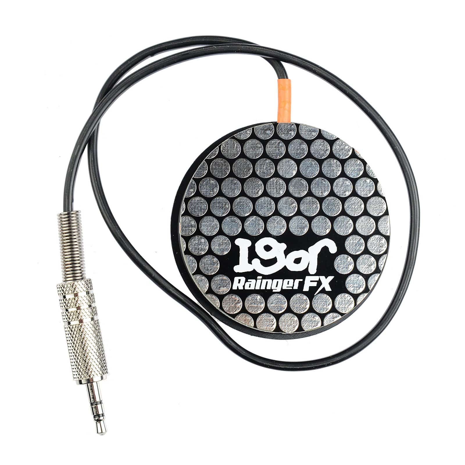 Rainger FX Echo-X Mini Digital Delay w/ Igor Effects and Pedals / Delay