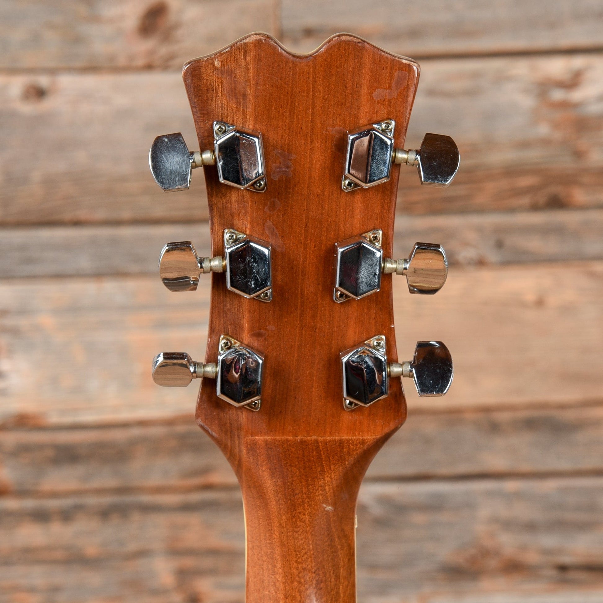 Rainier Single Cut Natural 1970s Electric Guitars / Solid Body