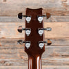 Rainsong WS1000N1 Sunburst Acoustic Guitars / Jumbo