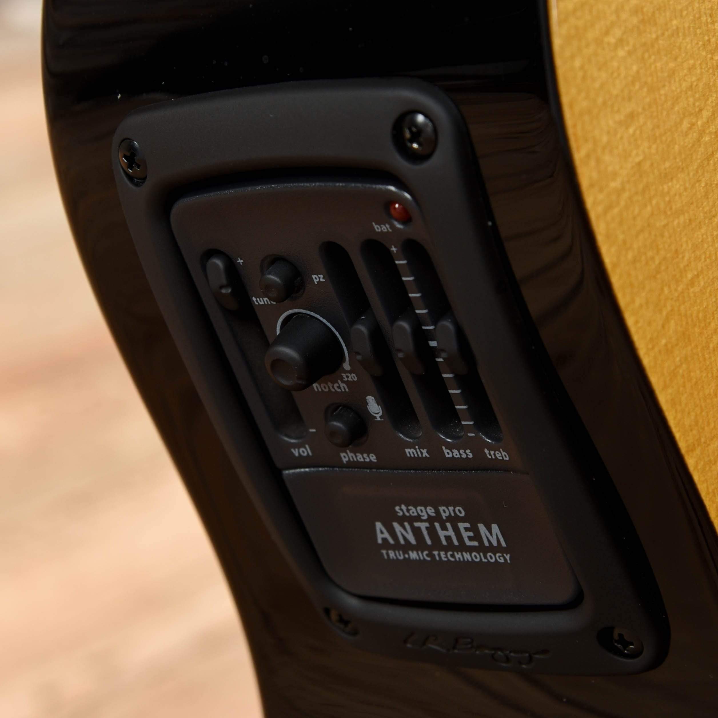 Rainsong V-OM1000NSX Natural 2019 Acoustic Guitars / OM and Auditorium