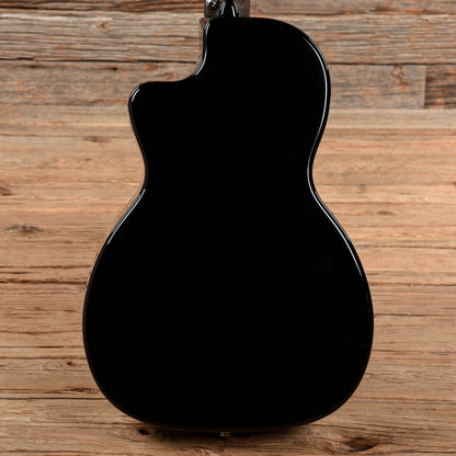 Rainsong N-PA1000NSK Parlor Sunburst Acoustic Guitars / Parlor