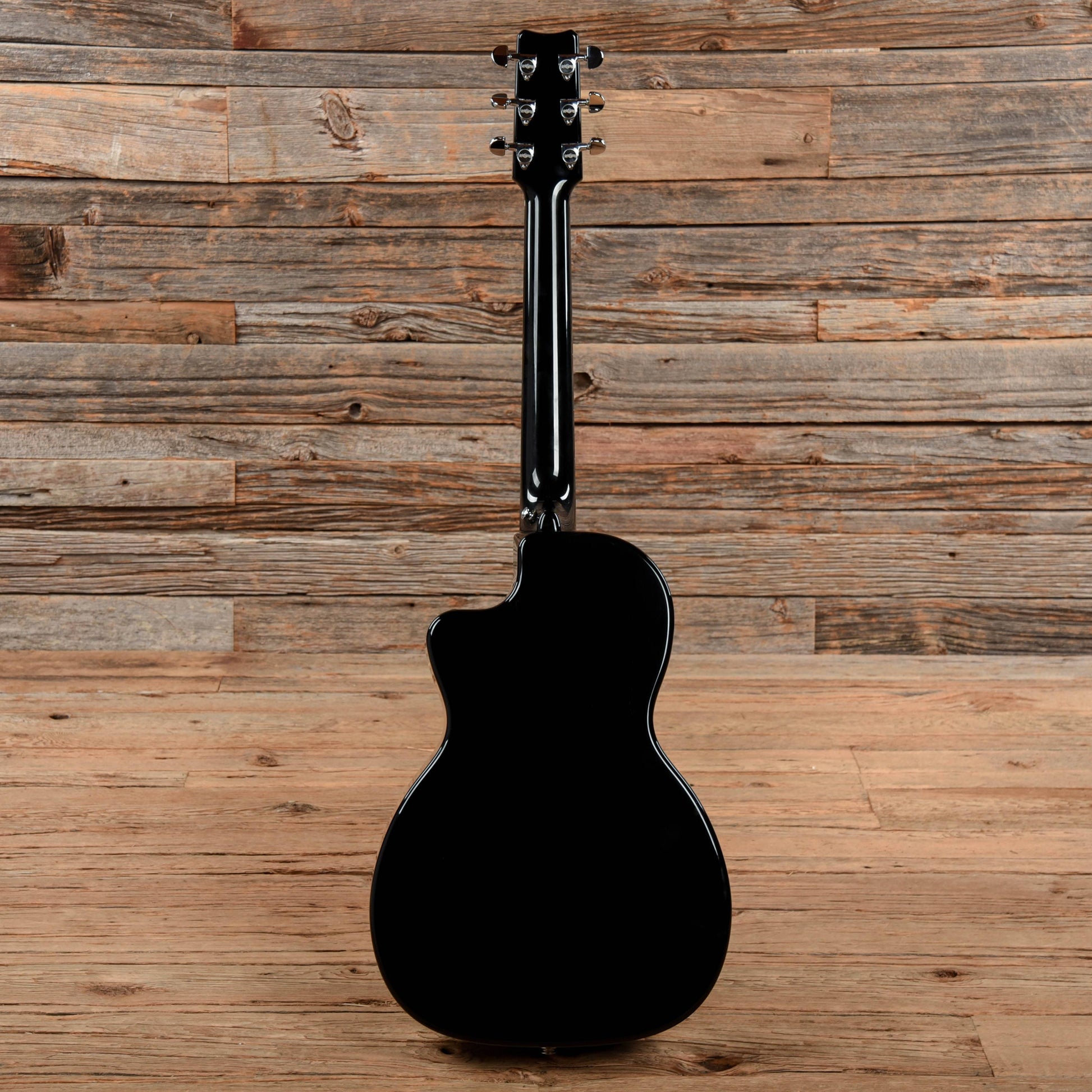 Rainsong N-PA1000NSK Parlor Sunburst Acoustic Guitars / Parlor