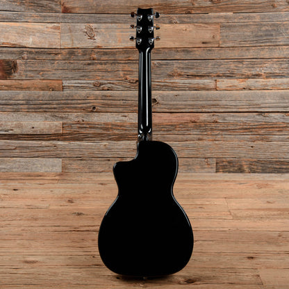 Rainsong N-PA1000NSK Parlor Sunburst Acoustic Guitars / Parlor