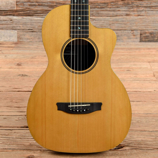 Rainsong Vintage Series V-PA1100NS Natural 2019 Acoustic Guitars / Parlor