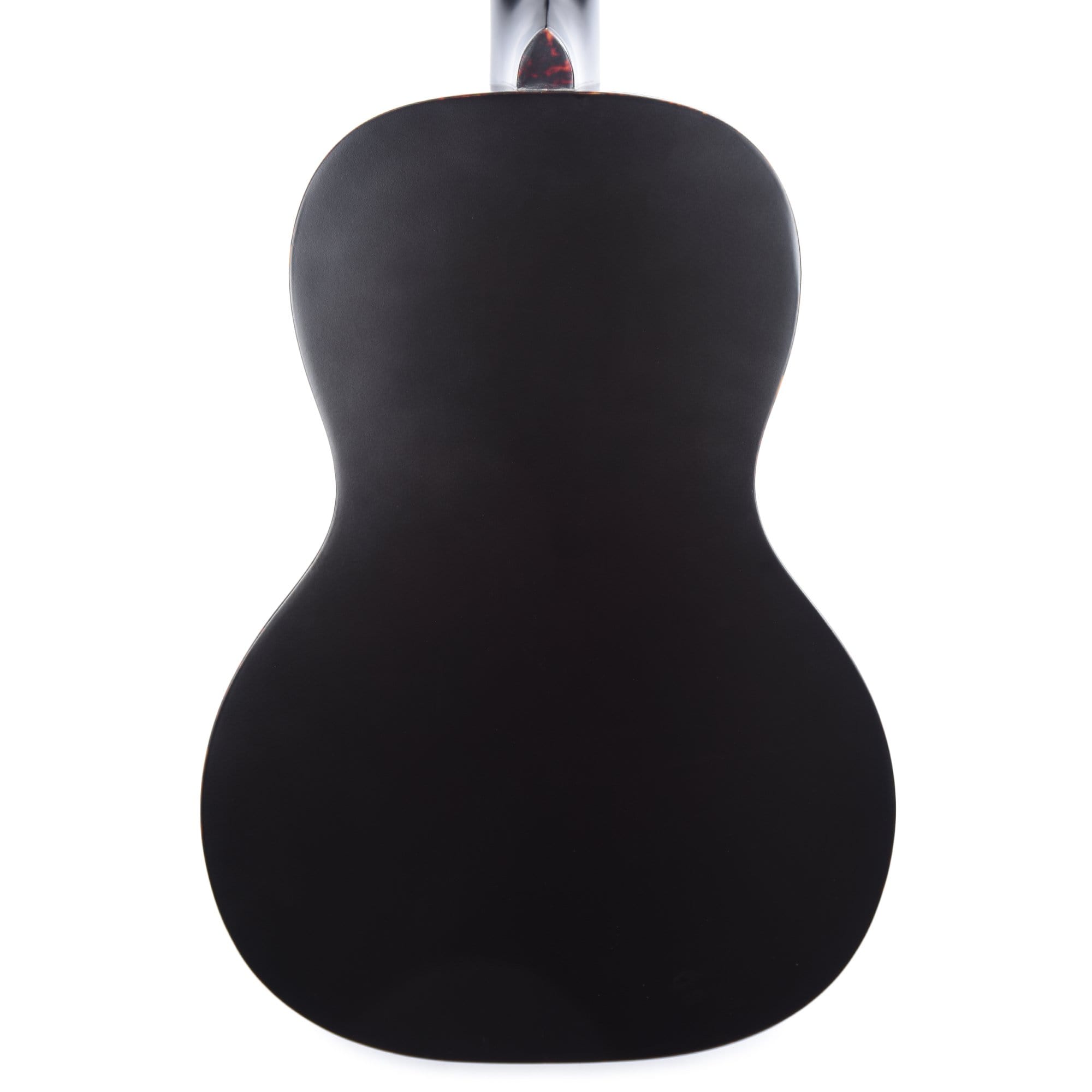 Recording King Justin Townes Earle Signature Guitar Satin Tobacco Sunburst Acoustic Guitars / Parlor