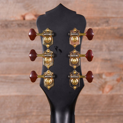 Recording King Justin Townes Earle Signature Guitar Satin Tobacco Sunburst Acoustic Guitars / Parlor