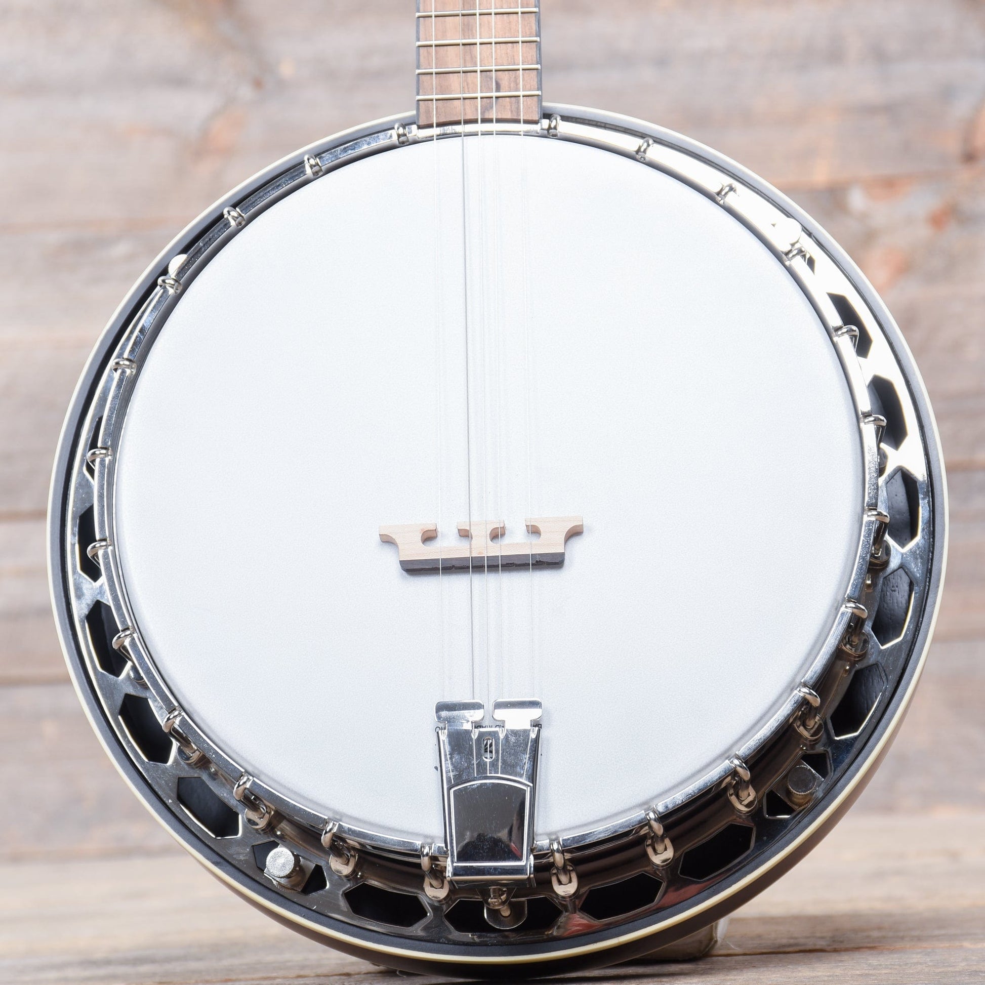 Recording King Dirty 30's Resonator Banjo Folk Instruments / Banjos