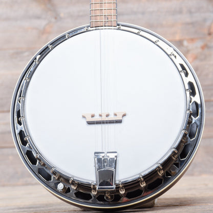 Recording King Dirty 30's Resonator Banjo Folk Instruments / Banjos