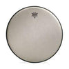 Remo 13" Ambassador Renaissance Drumhead Drums and Percussion / Parts and Accessories / Heads