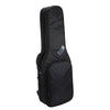 Reunion Blues RBX Double Electric Guitar Gig Bag Accessories / Cases and Gig Bags / Guitar Gig Bags