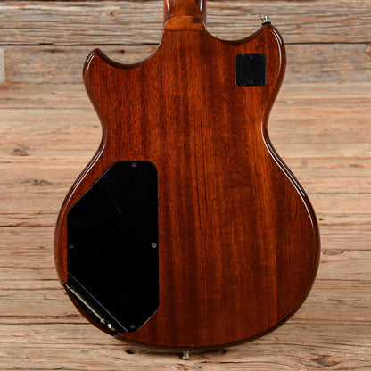 Roland G-303 and GR-300 Polyphonic Guitar Synthesizer Electric Guitars / Solid Body