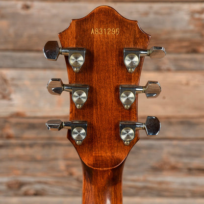 Roland G-303 and GR-300 Polyphonic Guitar Synthesizer Electric Guitars / Solid Body