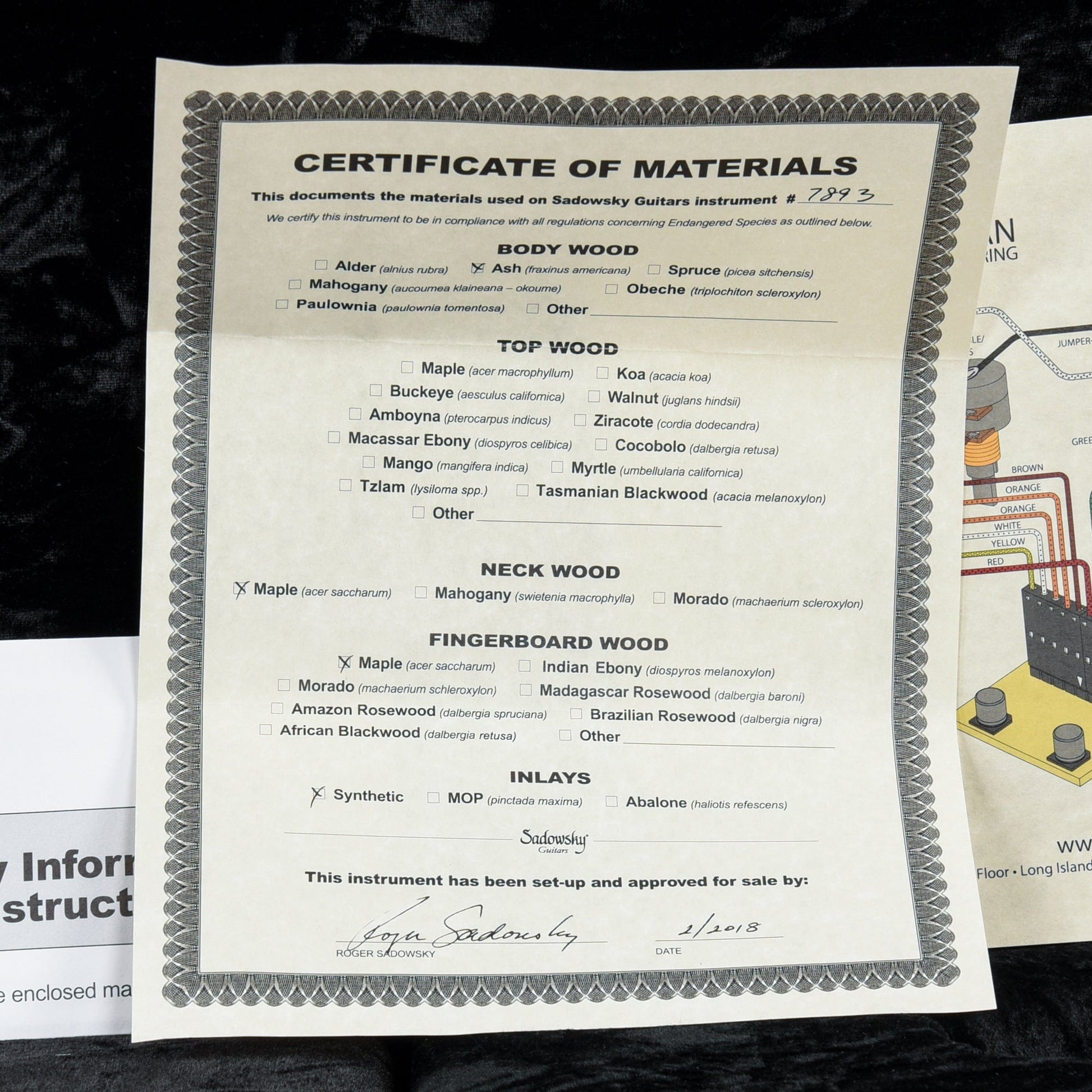 Sadowsky NYC 4-21 Modern Transparent Surf Green Bass Guitars / 4-String