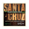 Santa Cruz Parabolic Tension Acoustic Guitar Strings Low Ten (12 Pack Bundle) Accessories / Strings / Guitar Strings