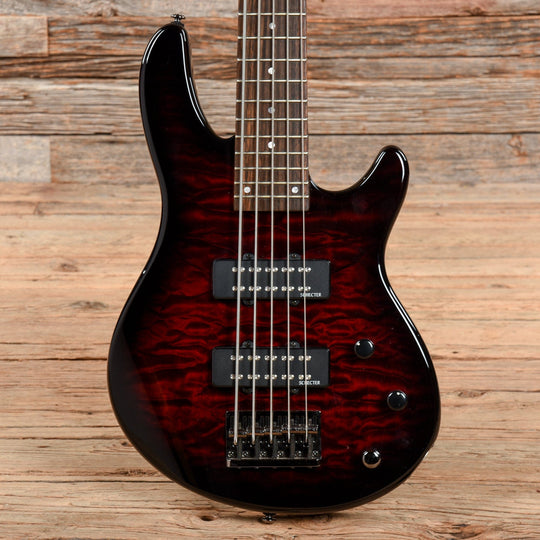 Schecter Raiden Special-5 Black Cherry 2011 Bass Guitars / 5-String or More