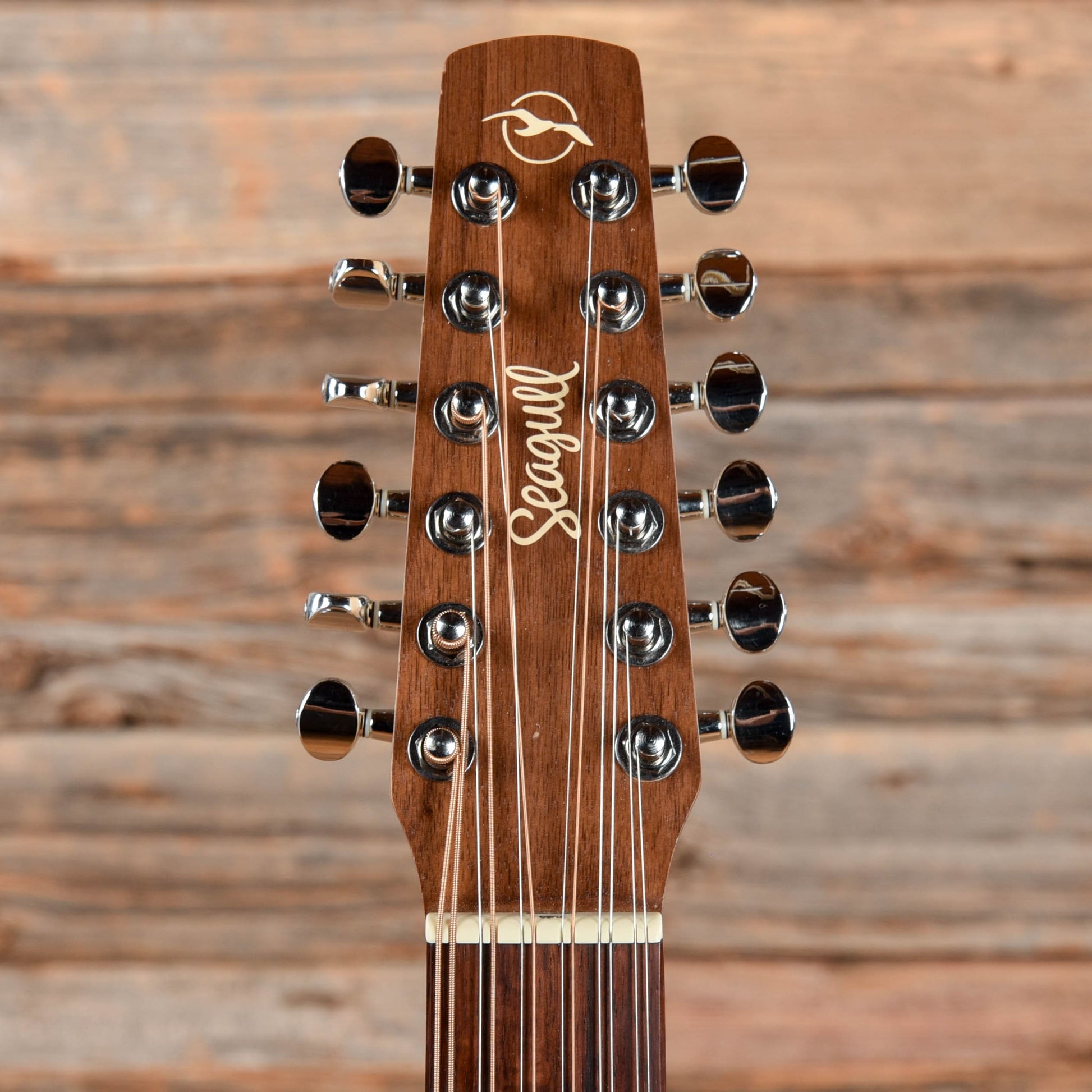 Seagull Walnut 12 Natural Acoustic Guitars / 12-String