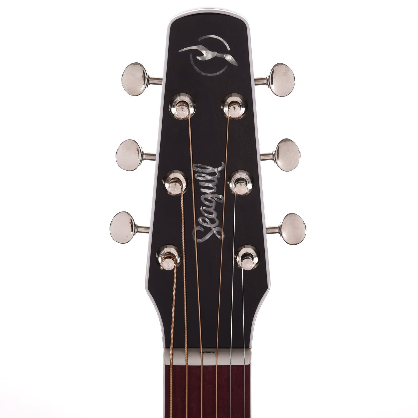Seagull Artist Limited Tuxedo Black w/LR Baggs Pickup & TRIC Case Acoustic Guitars / Concert