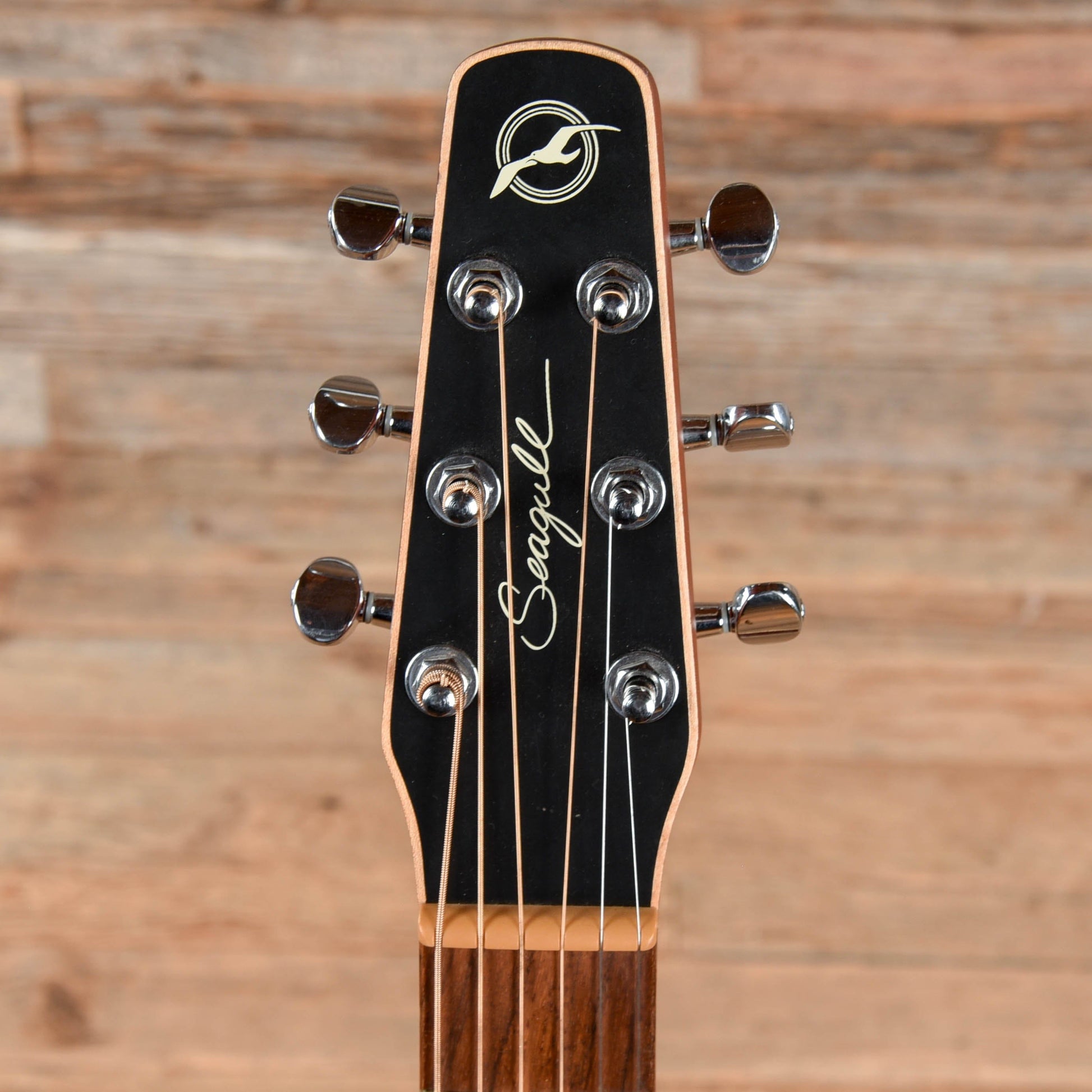 Seagull Coastline S6 Folk Cedar Natural Acoustic Guitars / Concert