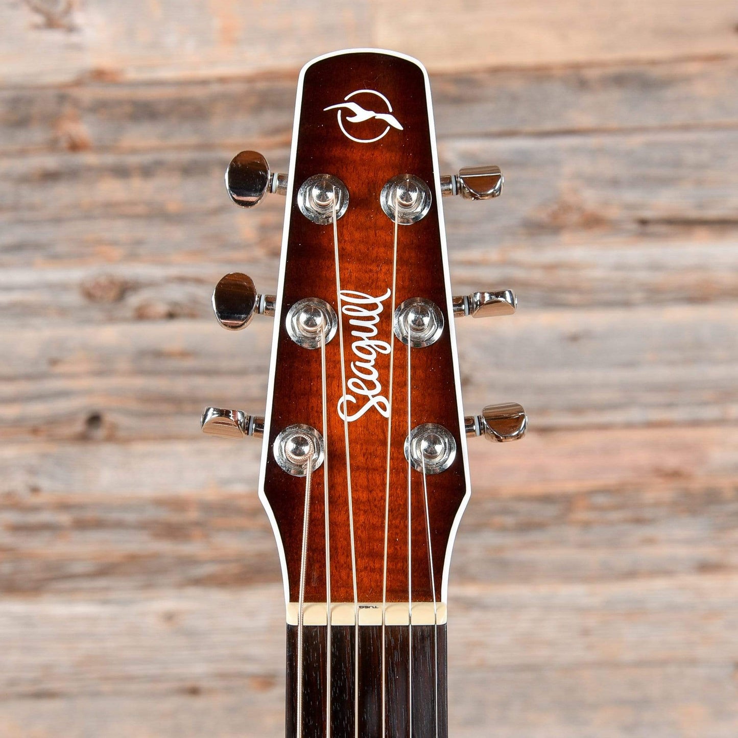 Seagull Performer Concert Hall CW QIT Burnt Umber Acoustic Guitars / Concert